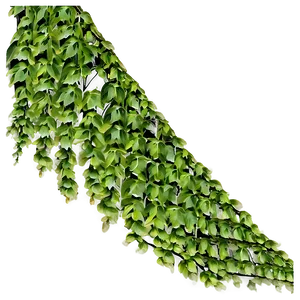 Green Creeper Texture Png Piy PNG image