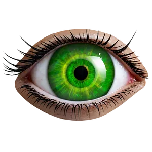 Green Eye With Eyebrow PNG 06262024