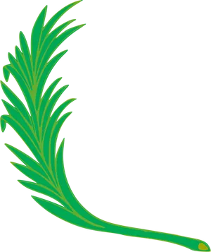 Green Feather Illustration PNG image