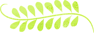 Green Fern Leaf Graphic