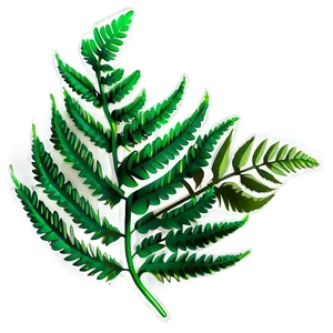 Green Fern Leaf Graphic Png 06282024 PNG image