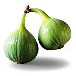 Green Figs Bunch PNG 58