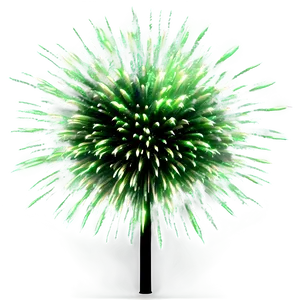 Green Firework Explosion PNG 76