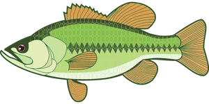 Green Fish Illustration