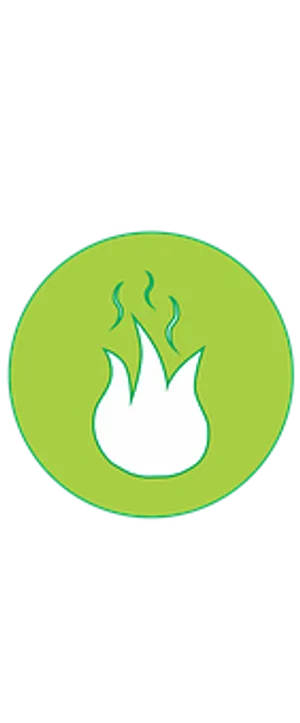 Green Flame Icon PNG image