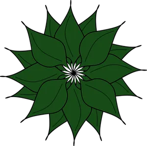 Green Floral Graphic Illustration