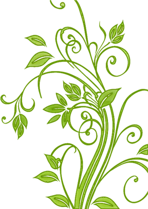 Green Floral Vector Art PNG image