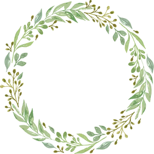 Green_ Floral_ Wreath_ Illustration PNG image