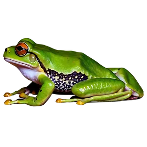Green Frog Clipart Png 59 PNG image