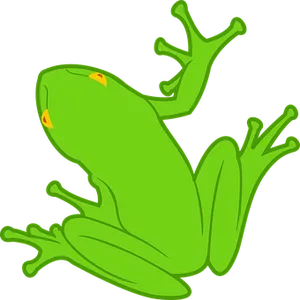 Green Frog Illustration