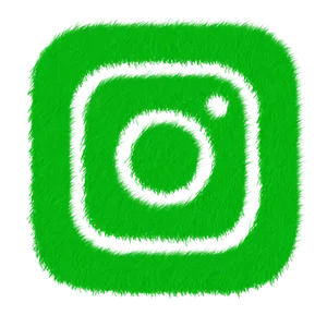 Green Fuzzy Instagram Logo