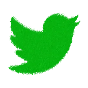Green Fuzzy Twitter Bird Logo