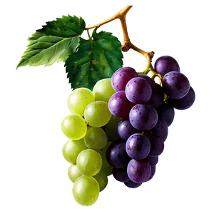 Green Grape PNG 91