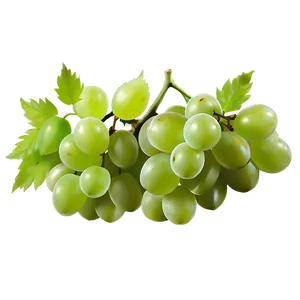 Green Grape PNG Dhv