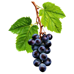 Green Grape PNG Jjc43