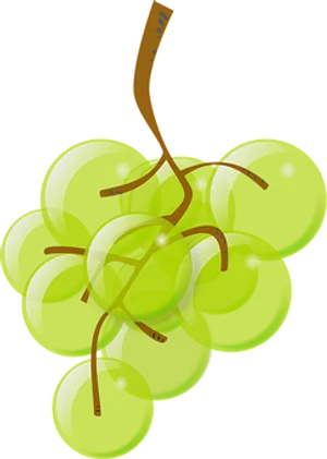 Green Grapes Cluster Illustration PNG image