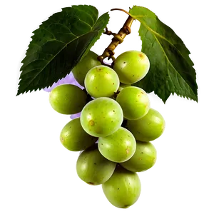Green Grapes Png 05242024 PNG image