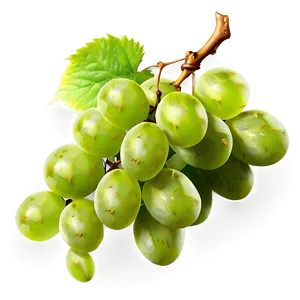Green Grapes Png 3 PNG image