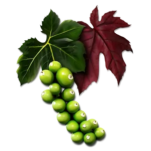 Green Grapes With Leaves PNG image