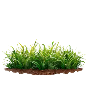 Green Grass A