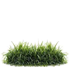 Green Grass And Sunshine Png Gso PNG image