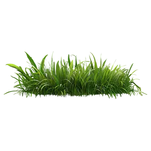Green Grass B