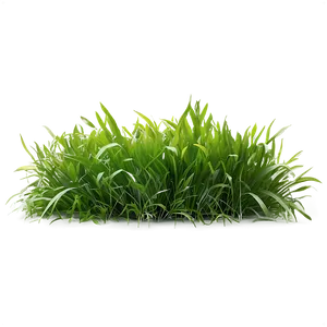 Green Grass D
