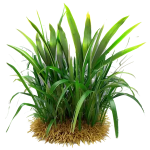 Green Grass Field PNG Oub27 PNG