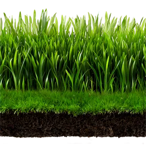 Green Grass For Landscaping PNG 06262024 PNG