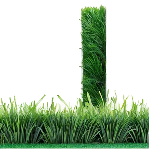Green Grass For Landscaping PNG 65