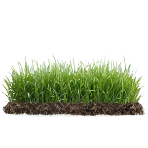 Green Grass For Landscaping Png Bxo PNG image