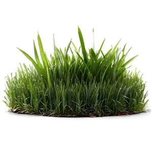 Green Grass For Sports Field PNG 06262024 PNG
