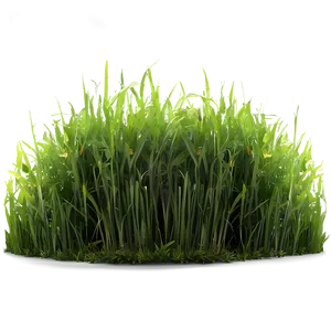 Green Grass For Sports Field PNG Owc PNG
