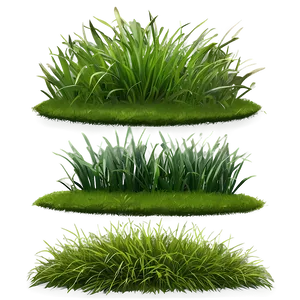 Green Grass Meadow PNG 06262024