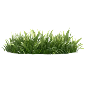 Green Grass Meadow PNG Nay87 PNG