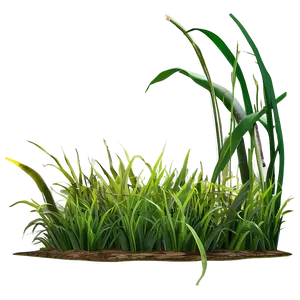 Green Grass Png 64 PNG image