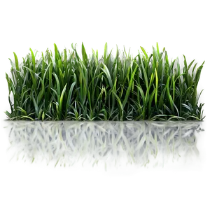 Green Grass Png Lvt PNG image