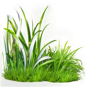Green Grass Png Rgq PNG image