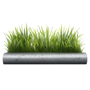 Green Grass Sidewalk PNG 76 PNG