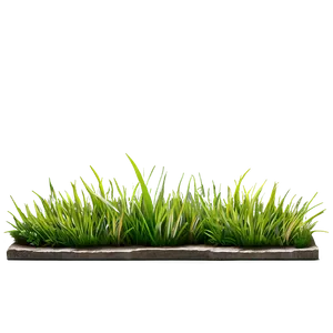 Green Grass Sidewalk PNG Xyn