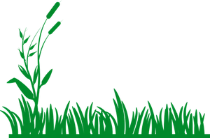 Green Grass Silhouette Vector