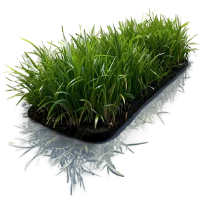 Green Grass Underfoot PNG 65