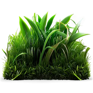 Green Grass Underfoot Png Awi61 PNG image