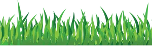 Green Grass Vector Illustration PNG image