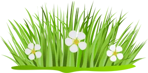 Green Grass White Flowers Vector PNG image
