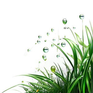 Green Grass With Dew Drops Png Qug41 PNG image