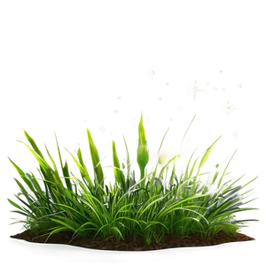Green Grass With Sun Rays PNG 06262024 PNG