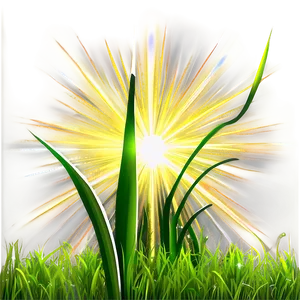 Green Grass With Sun Rays PNG Qmi85