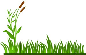 Green Grassand Reeds Vector PNG image
