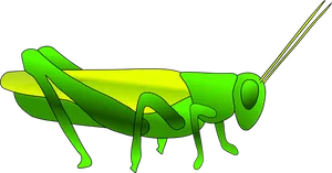 Green Grasshopper Illustration PNG image